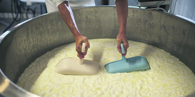 Die Milchwirtschaft gilt als der wichtigste Sektor der Schweizer Landwirtschaft mit einem Anteil von rund 20 Prozent an der Erzeugung des gesamten landwirtschaftlichen Wirtschaftsbereichs. 