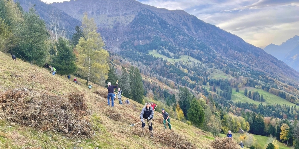Am Hüsliberg oberhalb des Schänner Ortsteils Rufi wurden Dornenbüsche und Unkraut entfernt.