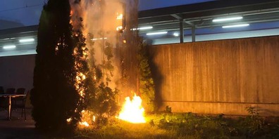 Diese Thujahecke im Garten in Brunnen stand in Flammen.