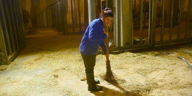 Ställe putzen, Tiere füttern und noch mehr: Redaktorin Linda Barberi arbeitet einen Tag lang als Tierpflegerin im Kinderzoo.