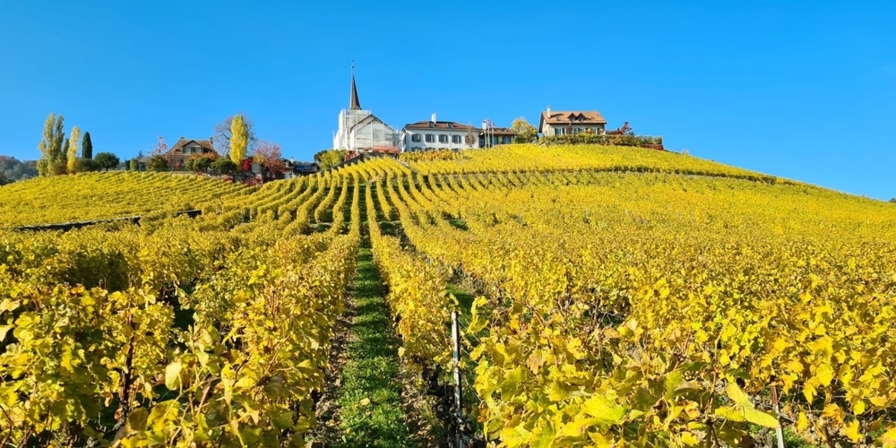 Foto von Walter Israng aus Jona.