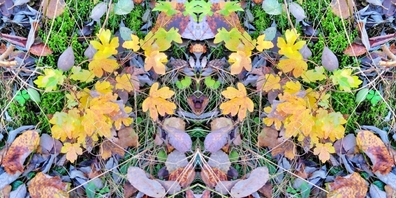 Der Spätherbst ist auch im Naturgarten angekommen.