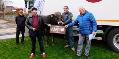 Sein Name sei "Camino"!