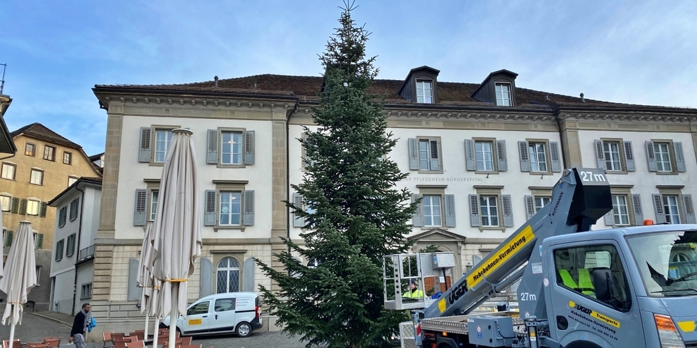 Die Weihnachtszeit kann kommen – die Nordmannstanne auf dem Fischmarktplatz steht bereit.
