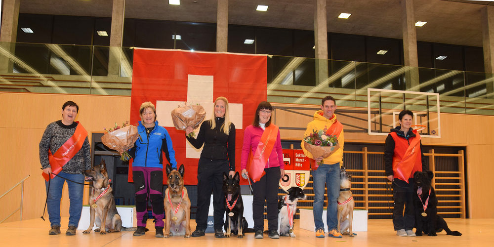 Das sind die Meister der Schweizermeisterschaft aller Hunderassen in Buttikon.