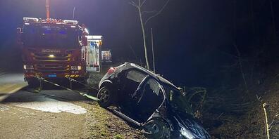 Die Feuerwehr musste den eingeklemmten Fahrer aus dem Wrack befreien.