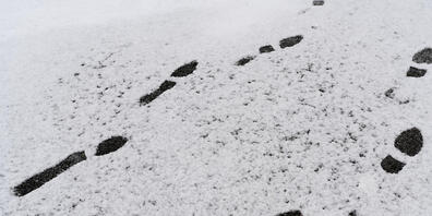 In Teilen der Schweiz hat es von Sonntag auf Montag kräftig geschneit. Stellenweise gab es rund einen halben Meter Schnee. (Symbolbild)