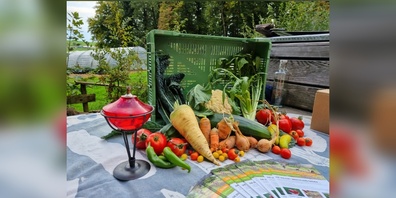 Die Natur schenkt das ganze Jahr reichhaltige Kost. Im Herbst können wir uns an den warmen Farben der Kürbisse und dem Obst erfreuen.
