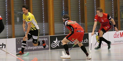 Die Gators holten gegen die Red Lions Frauenfeld einen überzeugenden Auswärtssieg