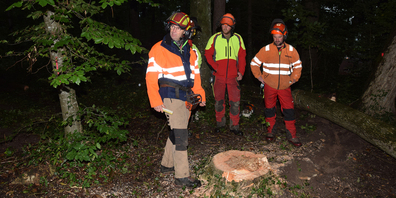 Markus von Wartburg bespricht mit drei Teilnehmern des Holzerkurses die Fällung eines Baumes nach.