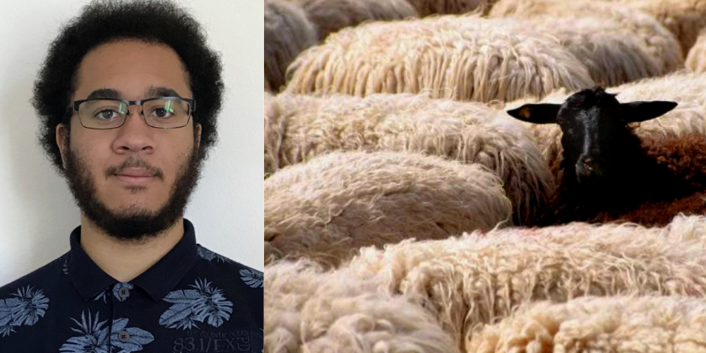 Patrice Ezeogukwu über schwarze und weisse Schafe