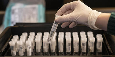 Die Anzahl der Unternehmen, die testen lassen, ist in Graubünden seit der Einführung der kostenlosen Corona-Zertifikate sprunghaft angestiegen. (Symbolbild)