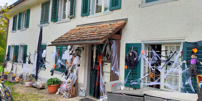 Das Haus ist in diesem Jahr in einer "Light-Version" geschmückt.