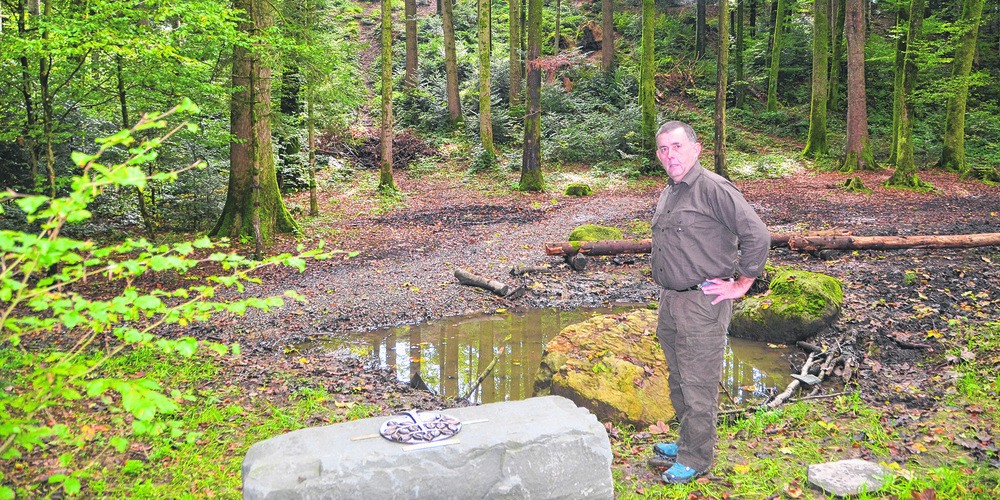 Bestatter Christian Büsser im Tierfriedhof: «Tiere erhalten einen immer grösseren Stellenwert. Von daher verdienen sie auch einen Ort, wo man sich an sie erinnern kann.»