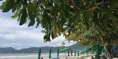 ARCHIV - Der berühmte Patong Beach auf der Insel Phuket. Thailand hat die südostasiatischen Staaten aufgefordert, ebenfalls ihre Grenzen wieder zu öffnen. Foto: Carola Frentzen/dpa