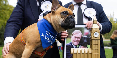 Die französische Bulldogge Vivienne wird zur Gewinnerin des Wettbewerbs «Westminster Dog of the Year» erklärt, der gemeinsam von Dogs Trust und The Kennel Club veranstaltet wird. Im Gedenken an den getöteten britischen Abgeordneten D. Amess ist de...