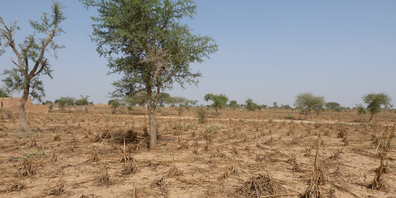  Im Niger bahnt sich eine Tragödie an: 2,5 Millionen Menschen sind akut vom Hunger bedroht.