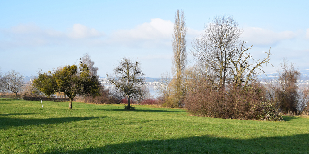 Die Zufahrt zur Baustelle soll nun vom See her erfolgen. 