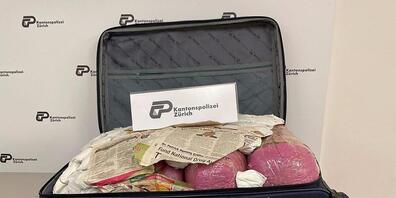 Der Reisekoffer, den die Kantonspolizei Zürich sicherstellte, war mit Khat gefüllt.