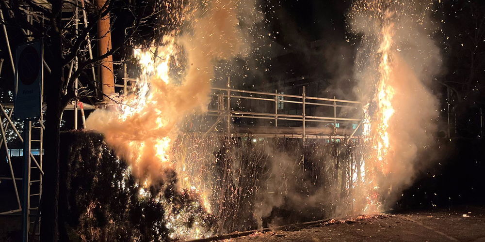 Heckenbrand in Heerbrugg