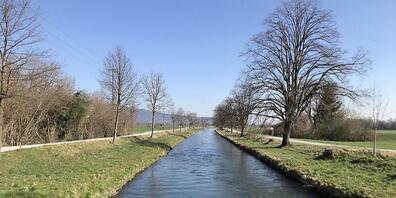 Für den Unterhalt des Rheintaler Binnenkanals ist ein Zweckverband mit zwölf Gemeinden verantwortlich. Nun wird die Kooperation erneuert.