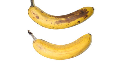 Gelb ist das neue Braun: Die untere der 10-Tage-alten Bananen ist von einer Cellulose-Schutzschicht umhüllt.