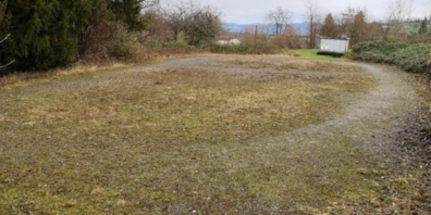 Das Grundstück Fuchsloch wird neu für die Lagerung von Stamm- und Altholz sowie Reitsport genutzt