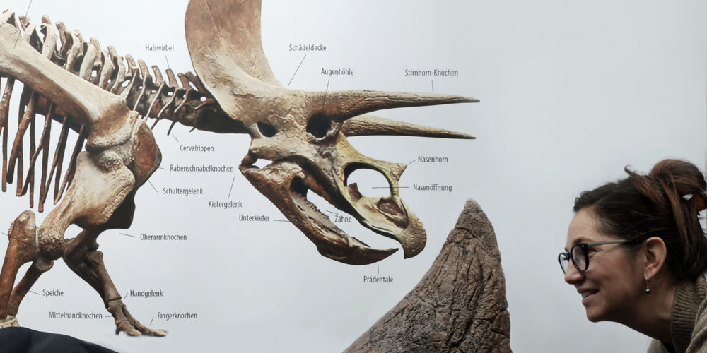 Projektleiterin Yolanda Schicker-Siber Nase an Nase mit dem Triceratops "Willard".