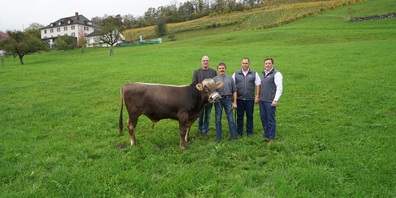 von links: Rolf Huber (Gemeindepräsident Oberriet), Albert Steger (Züchter), Oswald Haltiner (OK-Gaben) und Daniel Steiger (OK-Präsident).