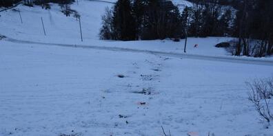 Spuren im Schnee zeigen, wo sich das Auto auf dem knapp 100 Meter langen Abhang bei Masein GR mehrmals überschlug.