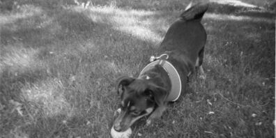 Fotoausstellung im Open Place.