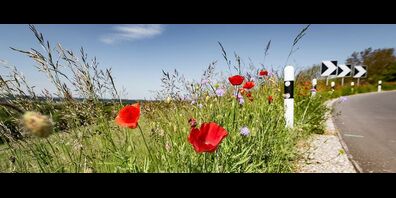 Kantonsstrassennetz soll bereinigt werden.