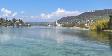 Das Obergericht des Kantons Schaffhausen hat die Abschussbewilligung für Kormorane im Schutzzonenreservat Stein am Rhein aus formellen Gründen aufgehoben.  (Symbolbild)
