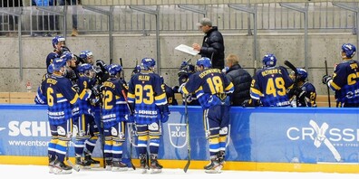 Cheftrainer Don McLaren, Assistenztrainer Willi Moser und ihr Team zeigten in dieser Saison bis dato stets vollen Einsatz und unterhaltsame Spiele.