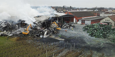 In Egnach hat es erneut gebrannt. Bereits vor zwei Jahren hatte ein Grossbrand einen Millionenschaden bei der  Tobi Tafelobst AG verursacht. (Archivbild)