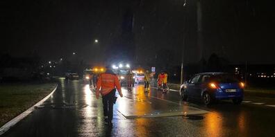 Die Unfallstelle: Auf einem Fussgängerstreifen an der Niederhaslistrasse wurden eine Fussgängerin und ihr Kleinkind schwer verletzt.