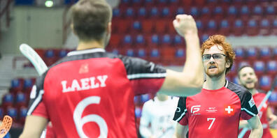 Claudio Laely (Nummer 6) und Tobias Heller (Nummer 7) freuen sich über ein Schweizer Tor