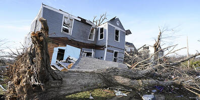 Ein umgestürzter Baum liegt vor einem von einem Tornado beschädigten Haus in Mayfield im Bundesstaat Kentucky. Foto: Mark Humphrey/AP/dpa