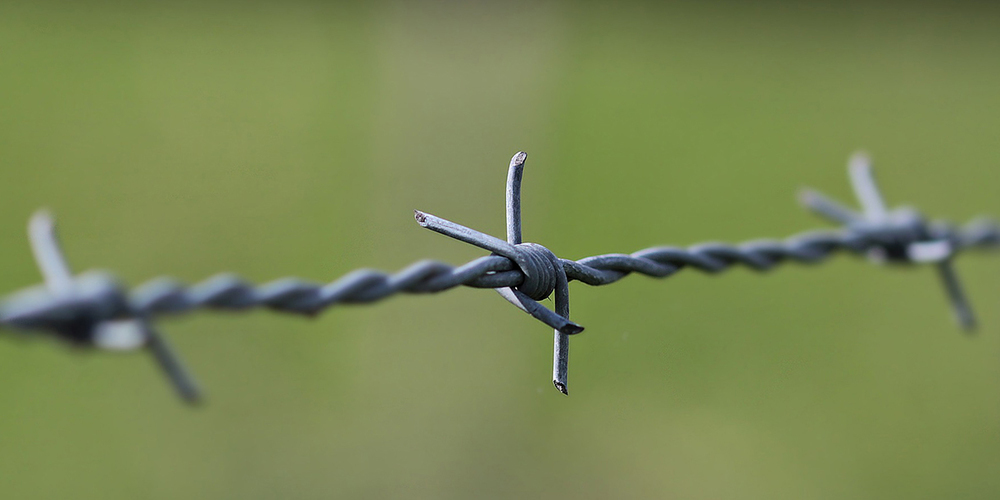 Immer wieder müssen Wildtiere qualvoll sterben, weil Zaunmaterial nicht richtig aufgeräumt wird.