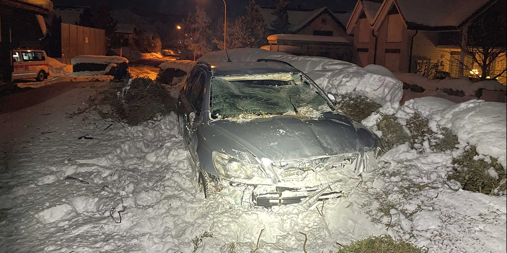 Der vom 16-Jährigen gelenkte Wagen kam in einem Garten zum Stillstand.