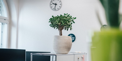 Coworking-Plätze im Macherzentrum