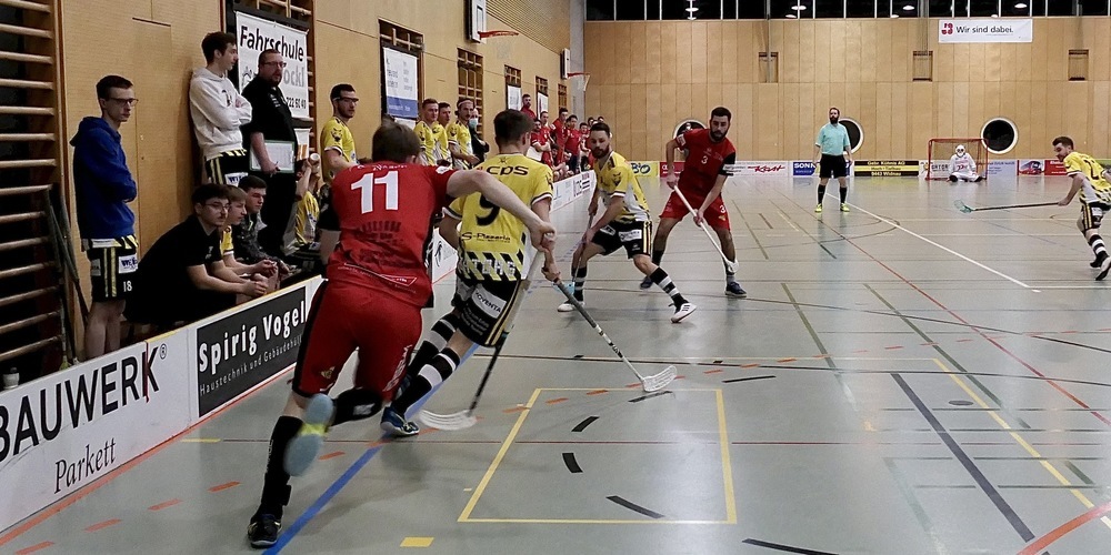 Die Gators zeigten die ganze Saison über sehr gute Leistungen