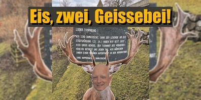 Auch dieses Jahr kann das Saugericht von einigen Miseren erzählen.