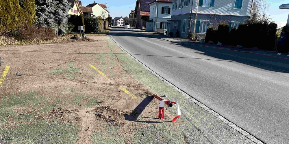 Die Kantonspolizei St.Gallen sucht Zeugen. 