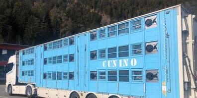 Der Schweinetransporter aus Spanien war zu schwer und zu hoch und der Transport grundsätzlich illegal.