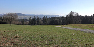 Bei schönem Wetter geniesst man beim OL in Pfäffikon ZH eine wunderbare Sicht auf die umliegenden Hügel und in die Alpen.