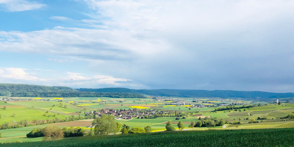 Die Studie kommt zum Schluss, dass Ackerbau im Klettgau in der heutigen Form ohne Bewässerung aufgrund der Klimaentwicklung in absehbarer Zeit kaum mehr möglich sein dürfte. (Archivbild)