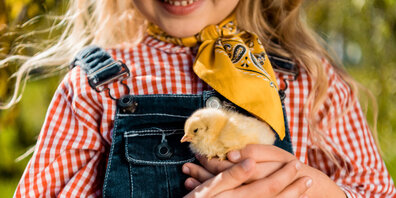 In der Spielgruppe "Bibeli-Nest" sollen die Kinder auch den Umfang mit verschiedenen Kleintieren lernen. (Symbolbild)