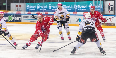 Die SCRJ Lakers konnten gegen den HC Ajoie wieder richtig überzeugen und gewinnen verdient die drei Punkte.
