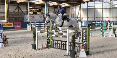 Das Springreiten in Oberriet bietet alljährlich schönen Pferdesport, hier von Andrea Gächter